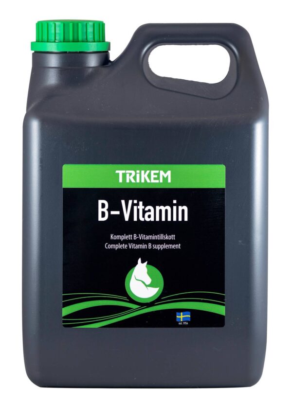 B-VITAMIN ”Trikem” 1000ml